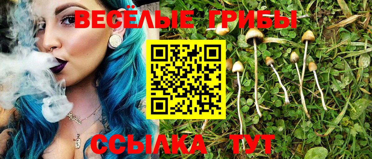 Галлюциногенные грибы ЛСД  Вход с VPN  Новошахтинск  Псилоцибиновые грибы Psilocybe 