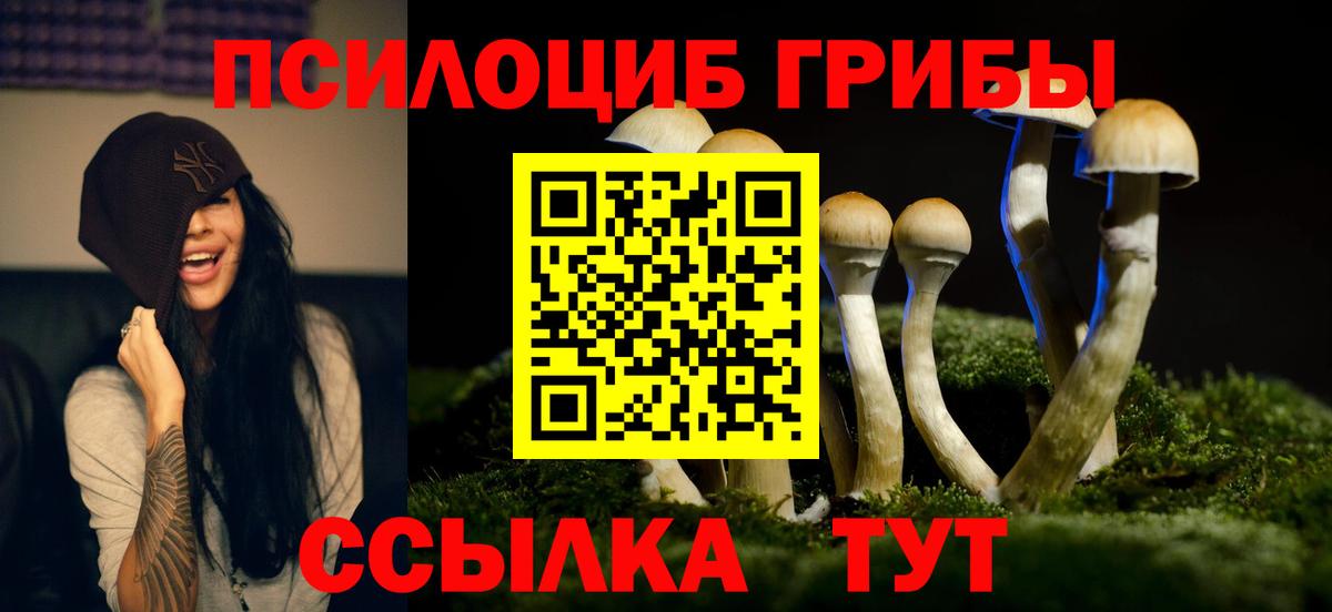 Галлюциногенные грибы мухоморы Новошахтинск